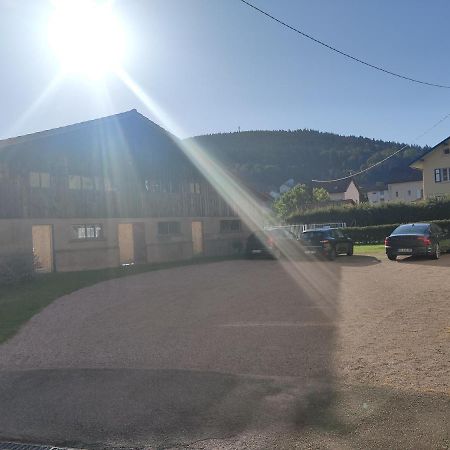 Apartamento Le Cozy Nest Gérardmer Exterior foto